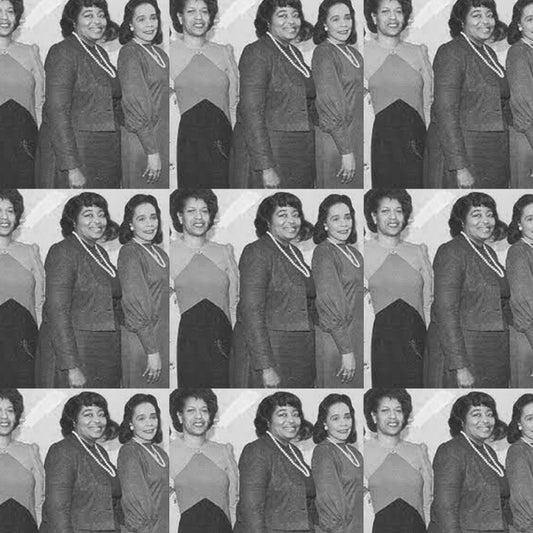 Architecting Resistance: The Intellectual Foundations of King, Shabazz, and Evers-Williams - The Trini Gee